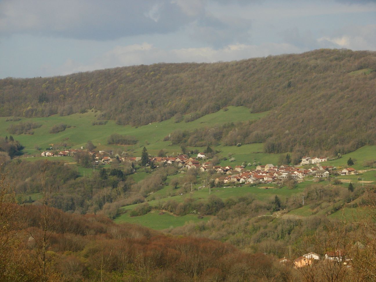 Consortium Immobilier