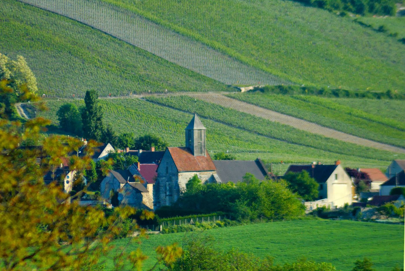 Consortium Immobilier