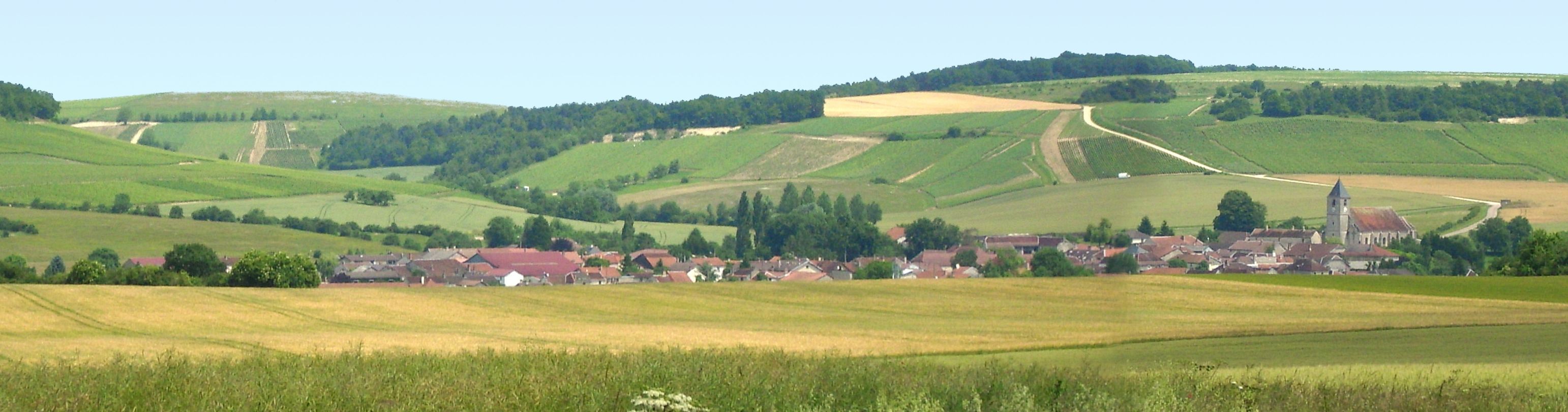 Consortium Immobilier