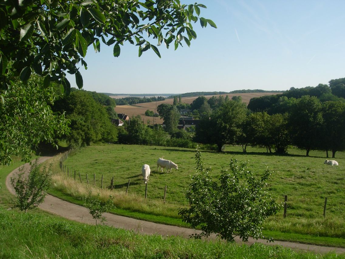 Consortium Immobilier