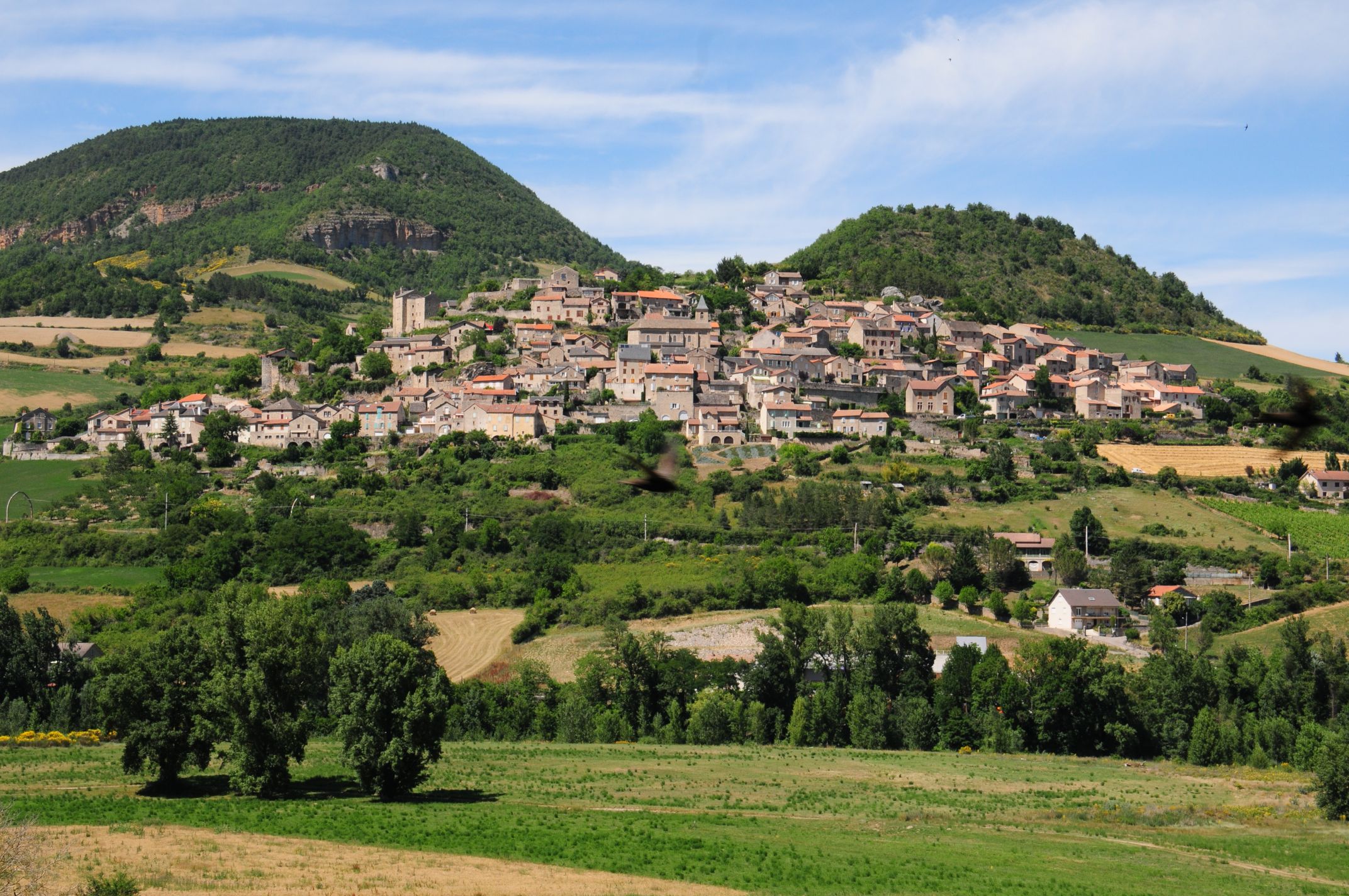 Consortium Immobilier