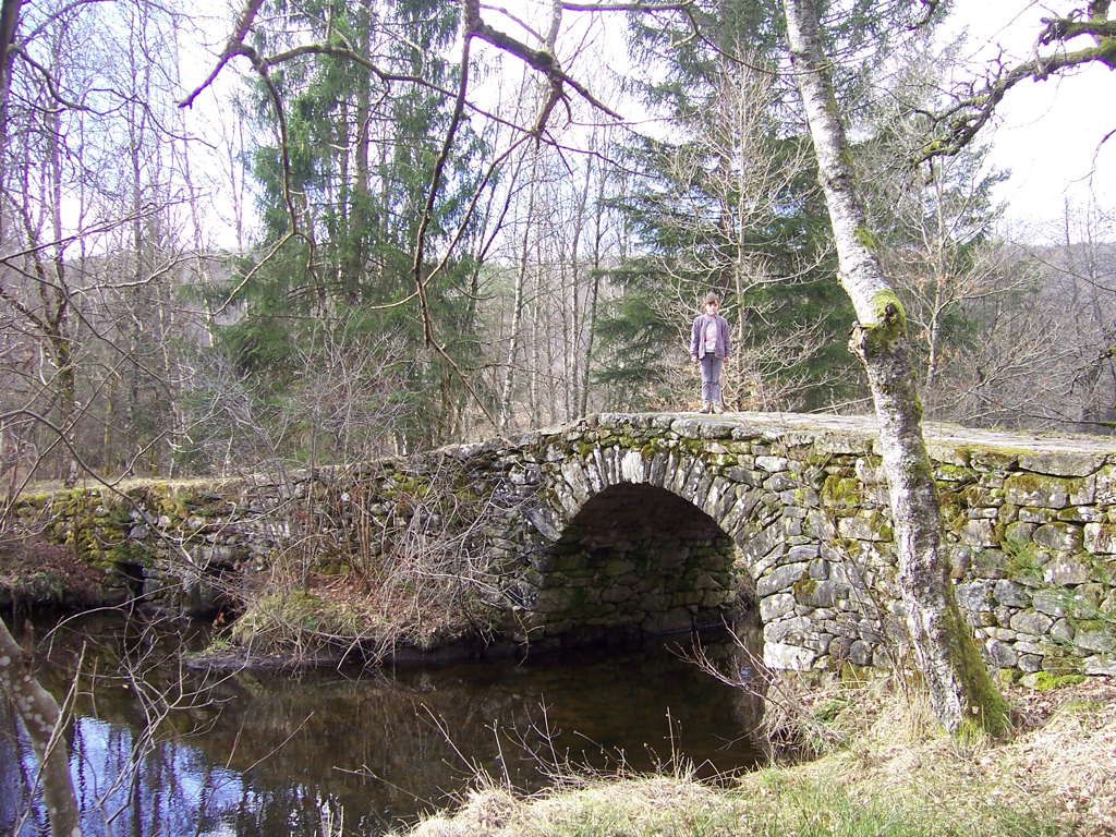 Consortium Immobilier