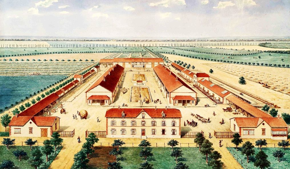 Consortium Immobilier