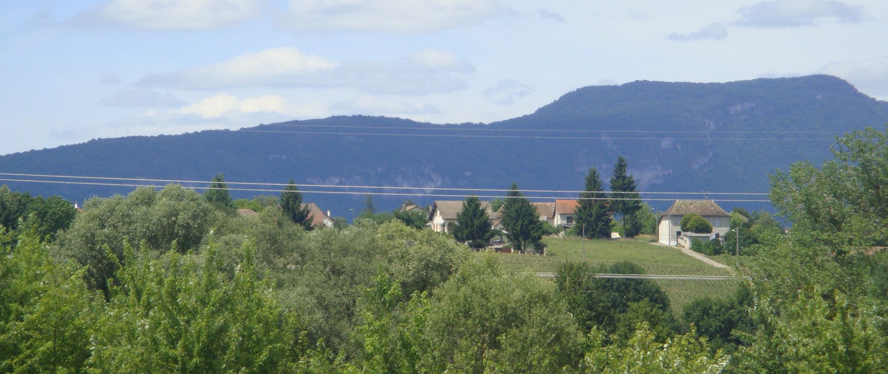 Consortium Immobilier