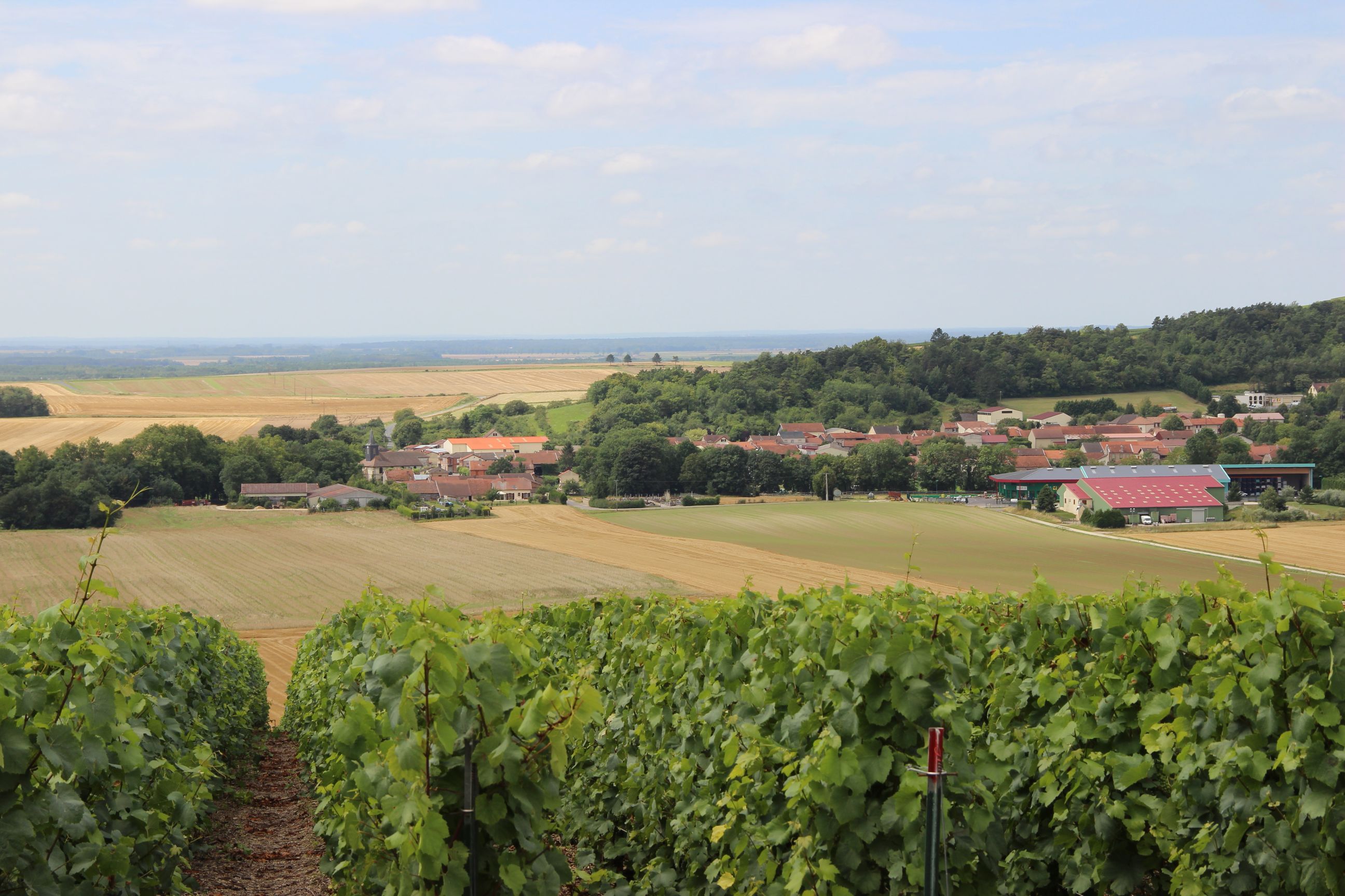 Consortium Immobilier