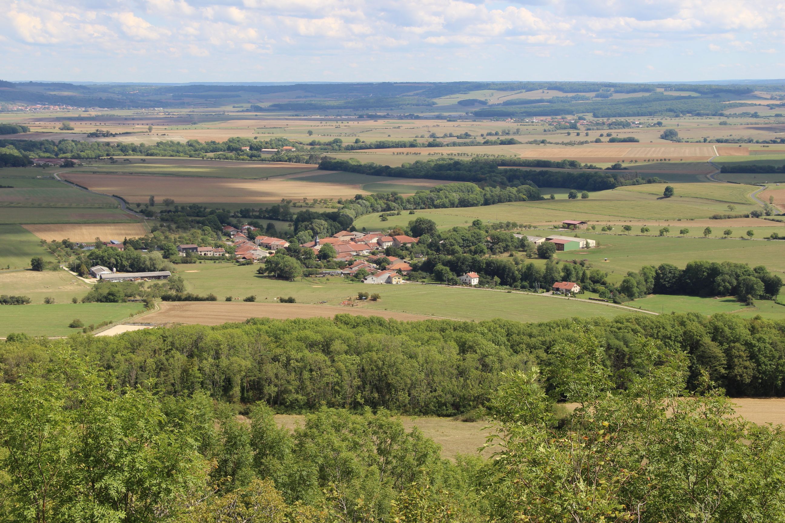 Consortium Immobilier