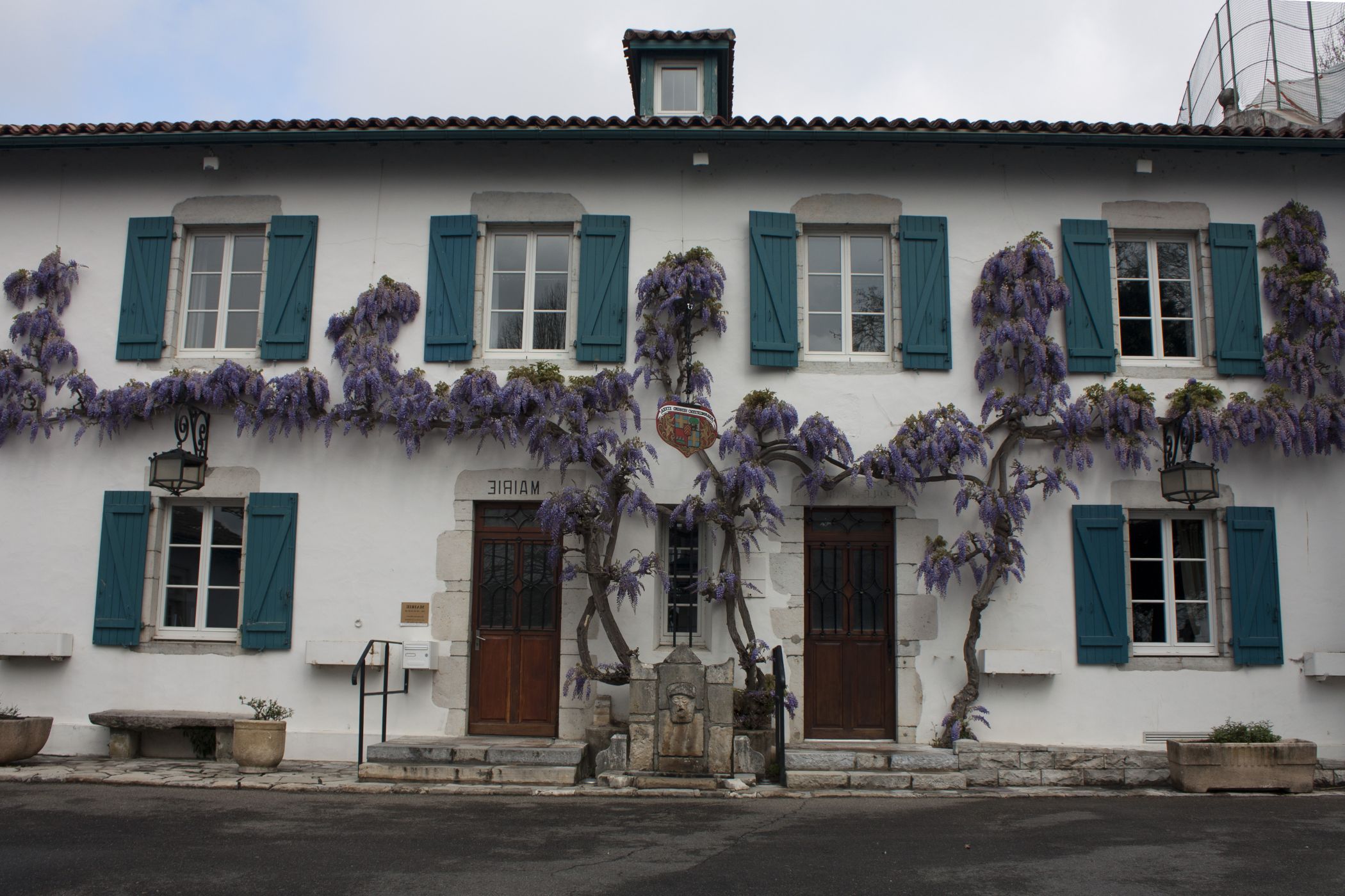 Consortium Immobilier