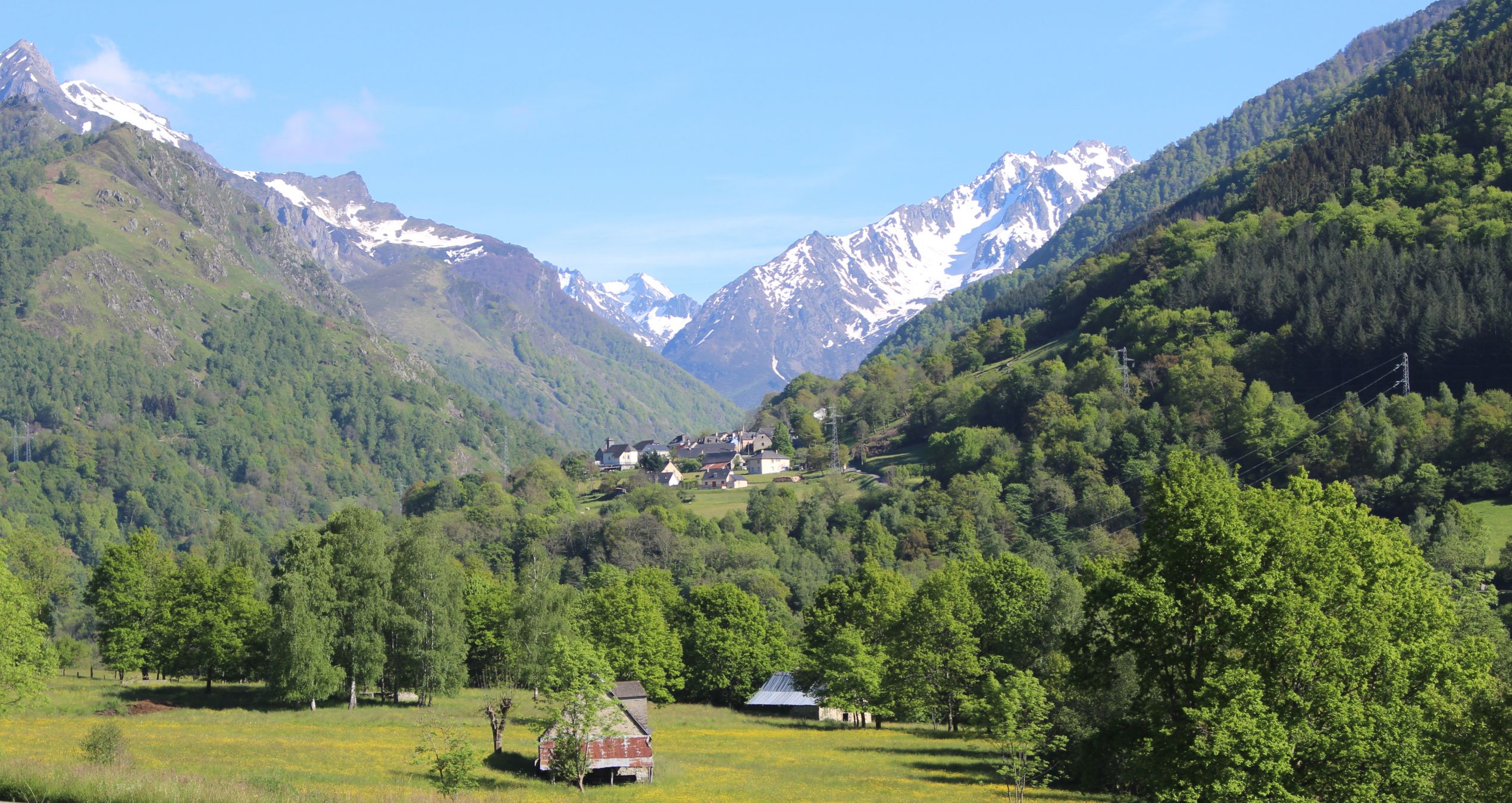 Consortium Immobilier