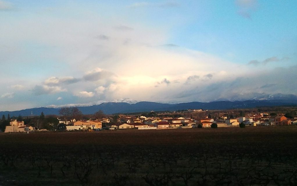 Consortium Immobilier