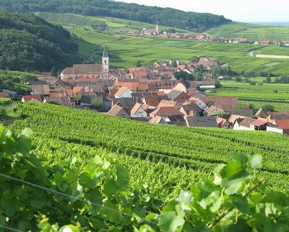 Consortium Immobilier