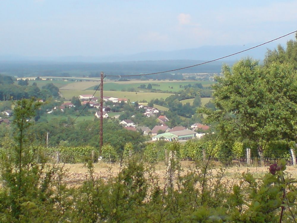 Consortium Immobilier