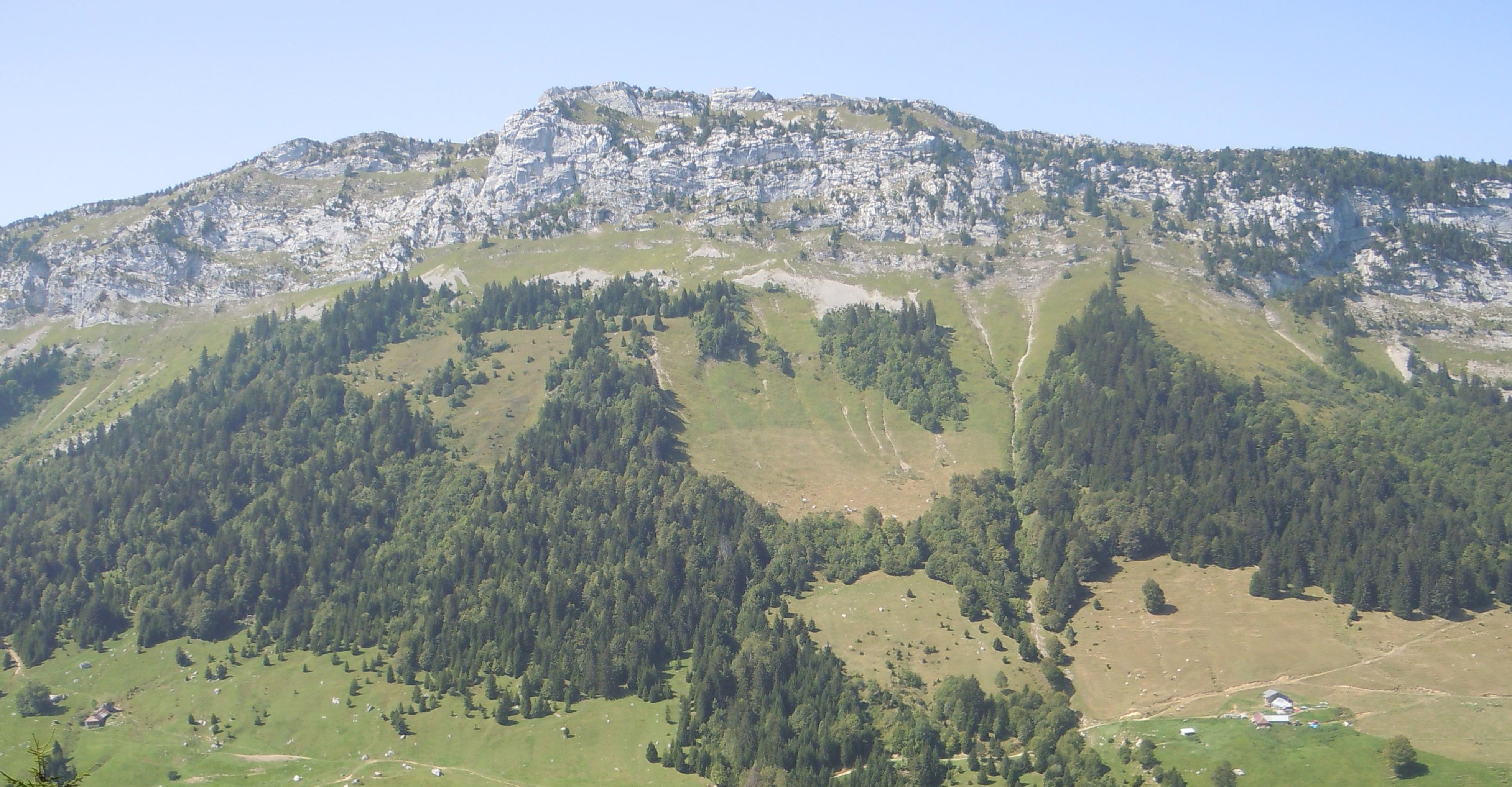 Consortium Immobilier