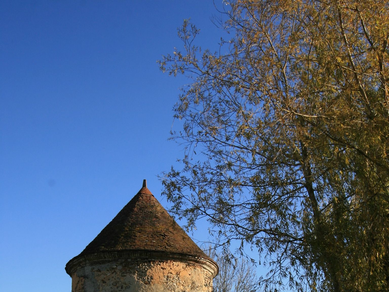 Consortium Immobilier